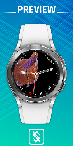 BFF24 - Animation Siames Fish screenshot 8