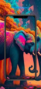 Elephant wallpapers 4k