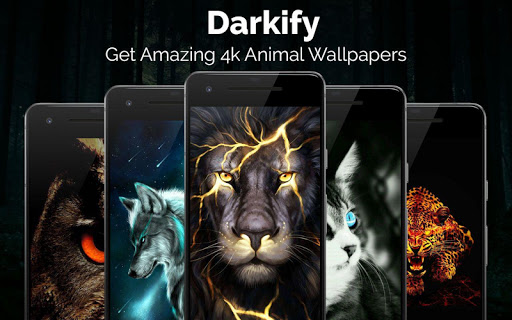 Black Wallpaper: Darkify Screen 3