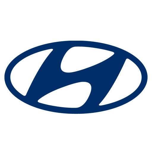 Treinamento Hyundai  Icon