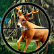 Wild Safari Animal Hunting:Sniper Shooting Games