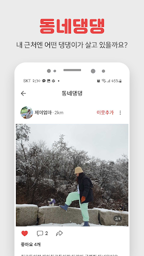 펫시터 방문탁묘 산책 캣시터 애견호텔 애묘호텔 펫보험.