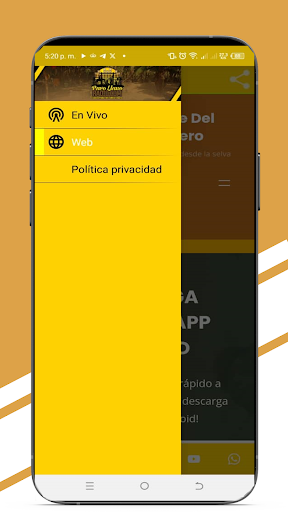 Puro Llano Radio Screen 3