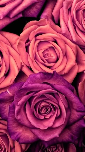 Android application Flower Wallpaper HD 4K screenshort