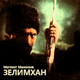 Зелимхан - Магомет Мамакаев icon