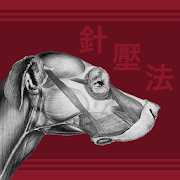 Canine AcuPoints  Icon