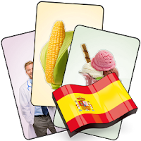 Spanish Flash Cards with 408 C