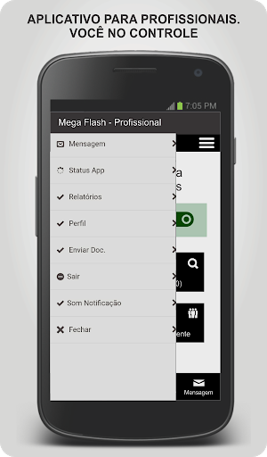 MS Entregas- Profissional Screen 2