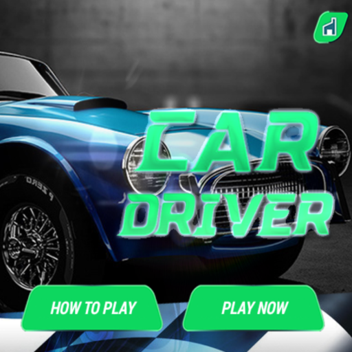 Car Driver Game