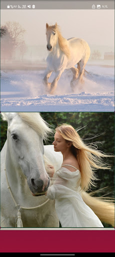 خلفيات خيول