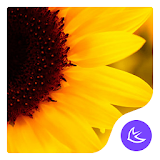 Spring|APUS Launcher theme icon
