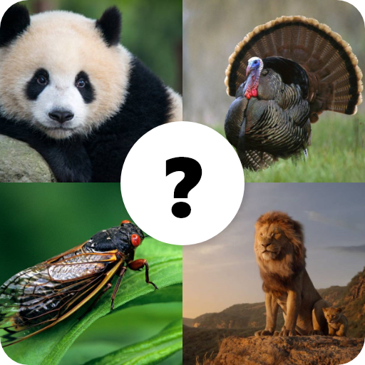 Animals Quiz