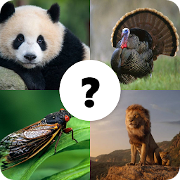 Icon image Animals Quiz