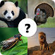 Animals Quiz - Androidアプリ
