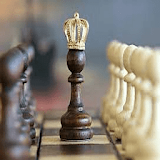 Kasparov Chess Master 2020 icon