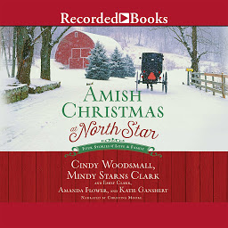 Icon image Amish Christmas at North Star: Four Stories of Love and Family