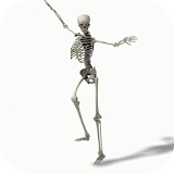 Dancing Skeleton Video LWP icon