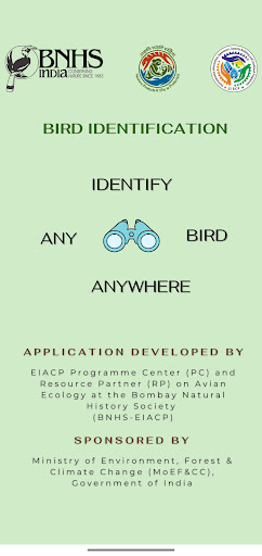 Android application Bird Identification screenshort
