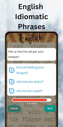 English Idiomatic Phrases Quiz Screen 3
