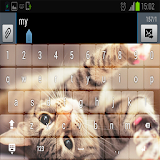 My picture keyboard Pro icon