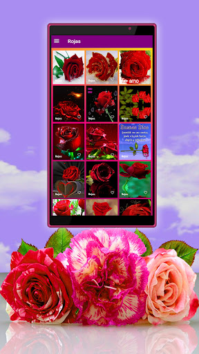 Android application roses flowers animated phrases screenshort