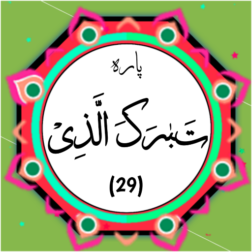 para 29 logo