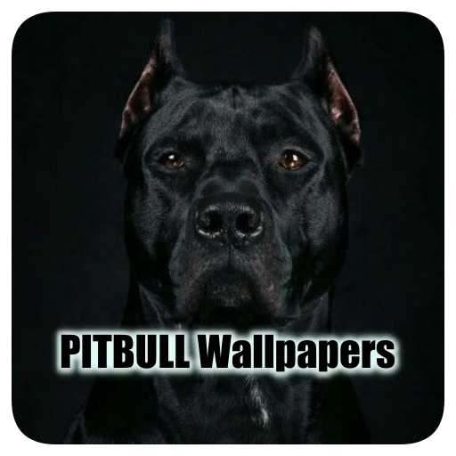 Pitbull Dog Wallpapers Cool for PC / Mac / Windows 11,10,8,7 Free