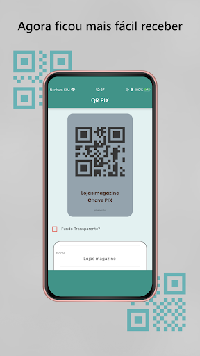 QR Placa Pix Screen 2