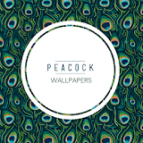 Peacock Locker Theme icon