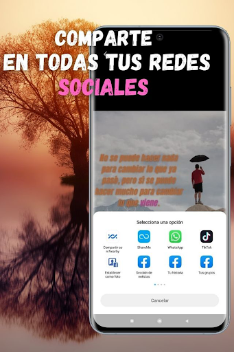 Frases de reflexión de la vida