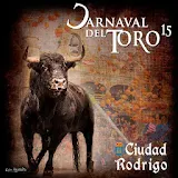 Carnaval del Toro 2015 icon