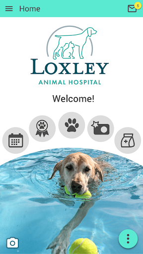 Android application Loxley Animal Hospital screenshort