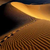 Desert Wallpapers HD icon