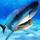 Angry Shark Killer Attack icon