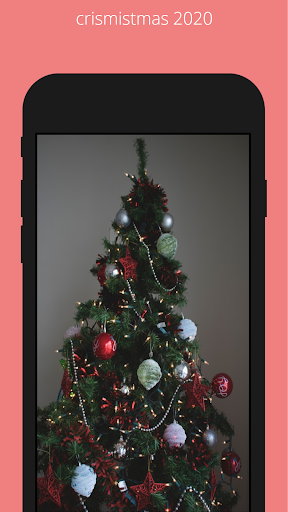 Christmas photos 2020