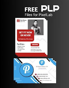 Pixfile: plp file for PixelLab