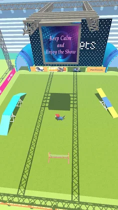 Pet Training - Screenshot 4