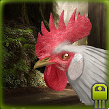 Angry Rooster Simulator icon