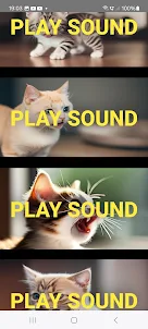 Sounds That Attract Cats