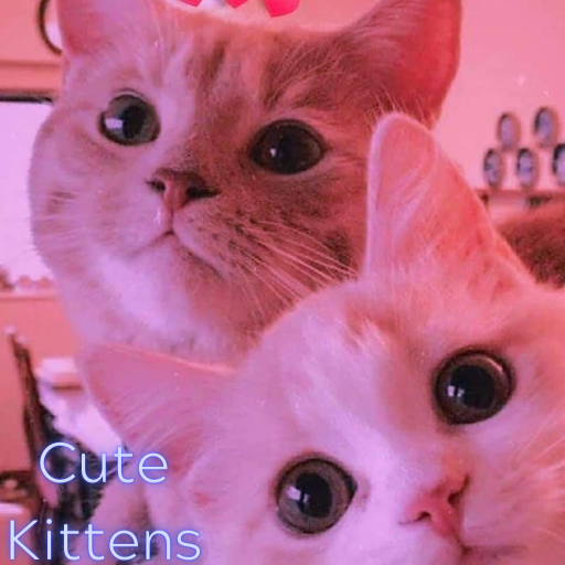 cute cat pfp aesthetic in 2023  Cat icon, Cute cats photos, Cat
