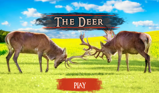 The Deer 14
