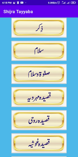 Shijra Tayyaba Mehervi Screen 2