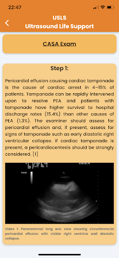 USLS - Ultrasound Life Support Screen 2