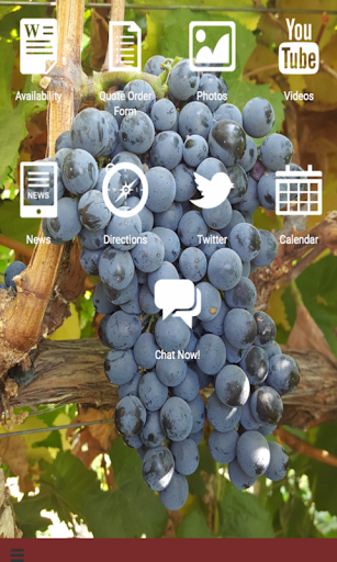 Grapevine Availability