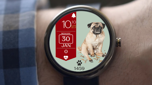 Screenshot image