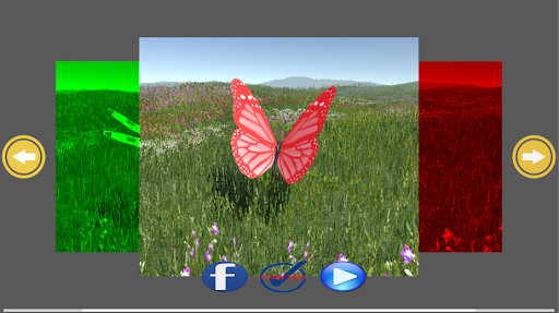 DragonFly Screen 2
