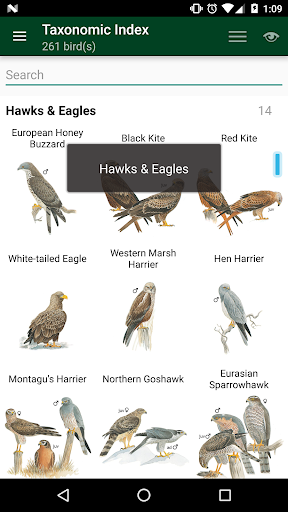 Birds of Germany & Switzerland Screenshot