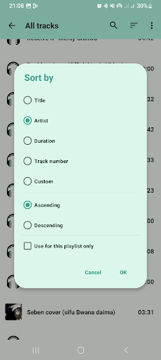 Audio Player with Equalizer Screen 3