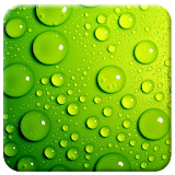 Live Green Wallpaper icon