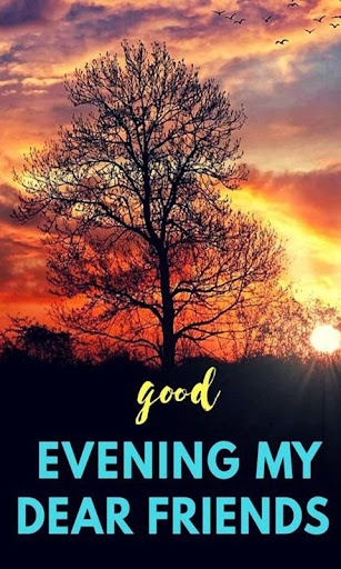 Good Evening Pictures and Messages
